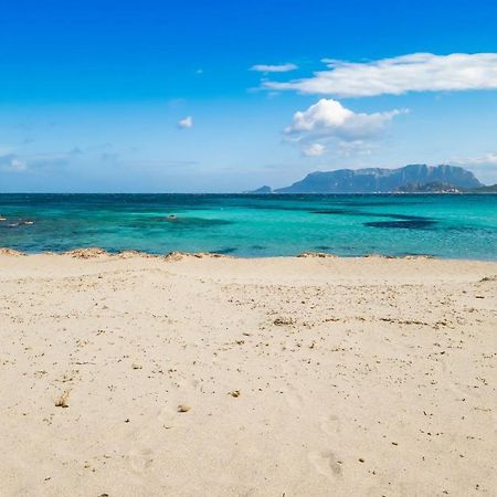 Le Dimore Di Nettuno Olbia Dış mekan fotoğraf