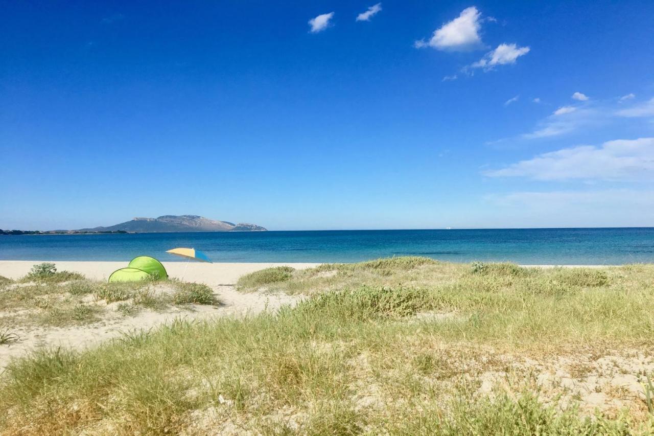 Le Dimore Di Nettuno Olbia Dış mekan fotoğraf