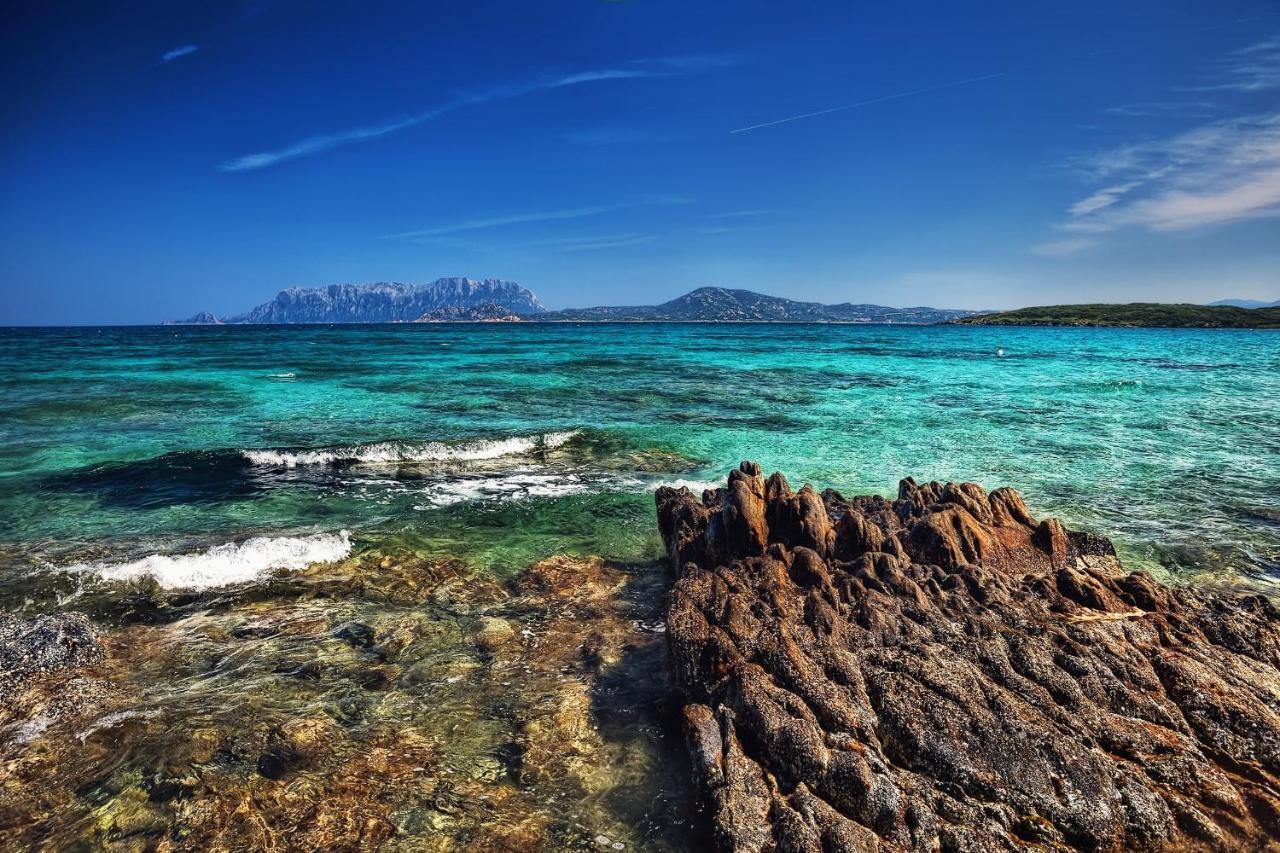 Le Dimore Di Nettuno Olbia Dış mekan fotoğraf