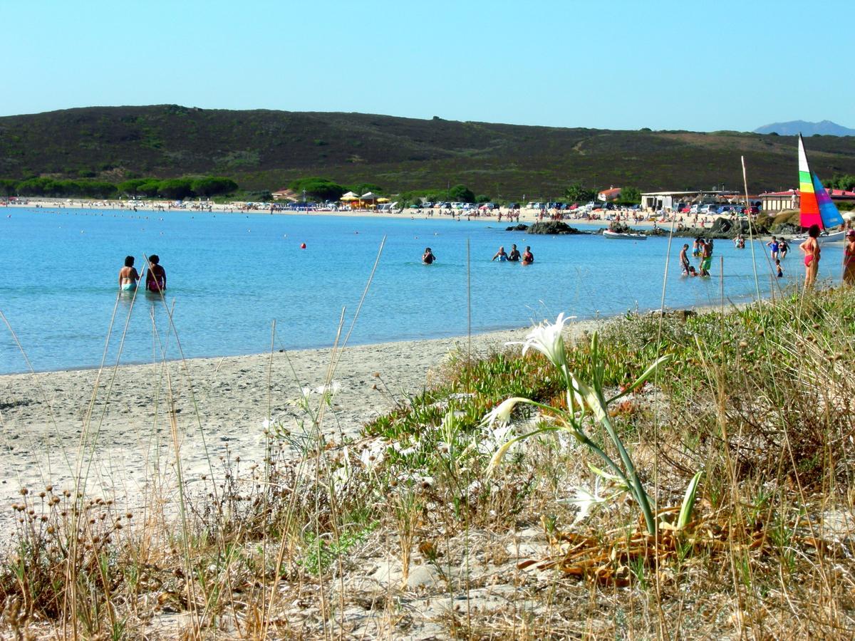 Le Dimore Di Nettuno Olbia Dış mekan fotoğraf